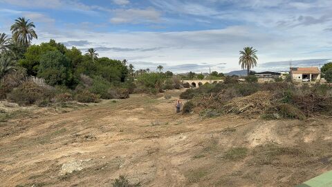 Uno de los barrancos de Elche en los que se han realizado tareas de desbroce. 