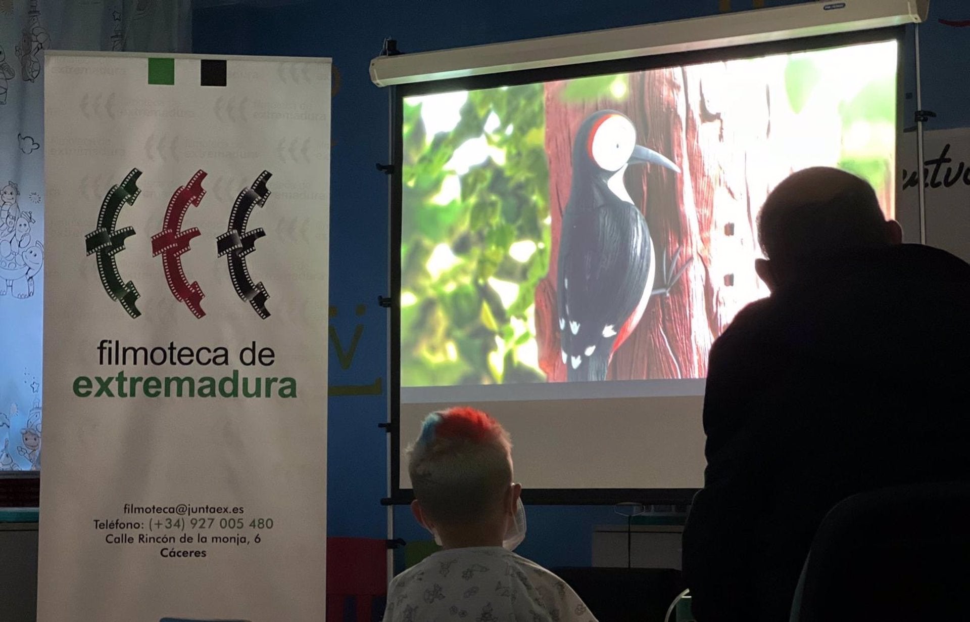 Hospitales extremeños ofrecerán proyecciones audiovisuales para promover el bienestar emocional de los pacientes Hospitales extremeños ofrecerán proyecciones audiovisuales para promover el bienestar emocional de los pacientes