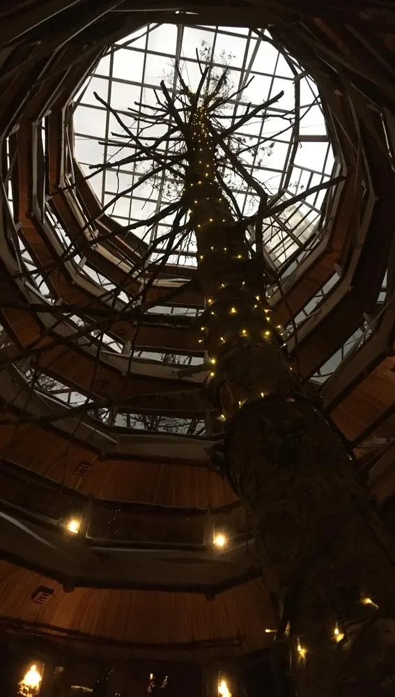 Hotel Nothafagus Hotel Nothafagus