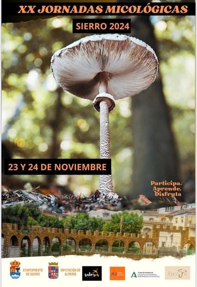 El otoño cierra las ventanas y abre las ganas... de setas en Sierro El otoño cierra las ventanas y abre las ganas... de setas en Sierro
