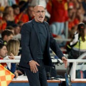 De la Fuente: "España siempre ha tenido una gran selección, la diferencia es que ahora ganamos todo"