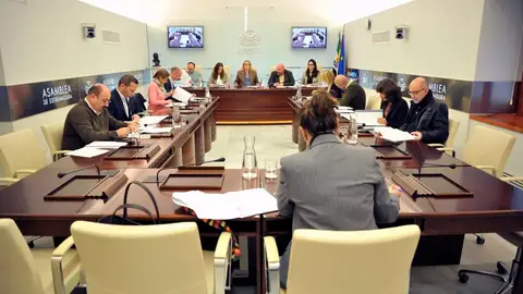 El pleno de la Asamblea debatirá este jueves sobre la ejecución de los PGEx, la evolución de los ingresos y la vivienda El pleno de la Asamblea debatirá este jueves sobre la ejecución de los PGEx, la evolución de los ingresos y la vivienda