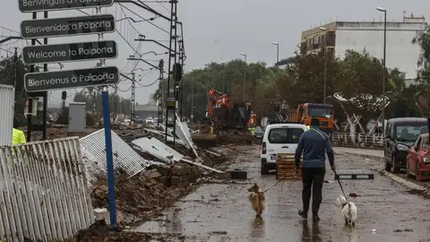 Un hombre pasea a sus perros, a 13 de noviembre de 2024, en Paiporta, Valencia - Un hombre pasea a sus perros, a 13 de noviembre de 2024, en Paiporta, Valencia -
