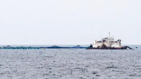 El Consell deniega a la piscifactoría de Villajoyosa su solicitud para aumentar la producción de 3.500 a 5.000 toneladas al año El Consell deniega a la piscifactoría de Villajoyosa su solicitud para aumentar la producción de 3.500 a 5.000 toneladas al año