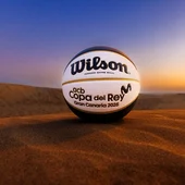 Balón de la Copa del Rey de baloncesto 2025 (ACB) Balón de la Copa del Rey de baloncesto 2025 (ACB)