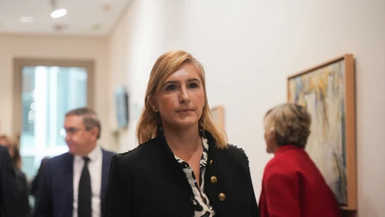 La consellera de Justicia e Interior, Salomé Pradas. La consellera de Justicia e Interior, Salomé Pradas.