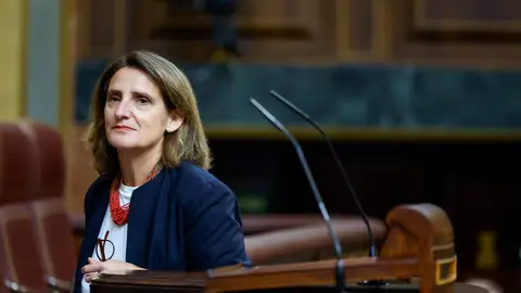 La vicepresidenta tercera del Gobierno, Teresa Ribera La vicepresidenta tercera del Gobierno, Teresa Ribera/ EFE/ Mariscal