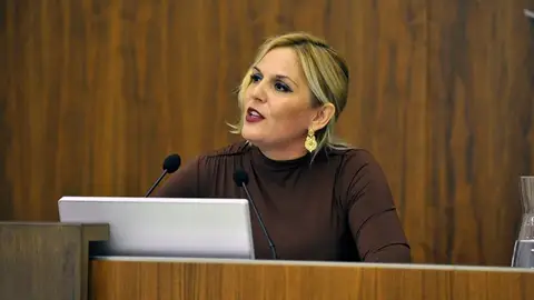 La Consejería de Economía destinará 24,2 millones en 2025 para incentivos a la inversión en Extremadura La Consejería de Economía destinará 24,2 millones en 2025 para incentivos a la inversión en Extremadura