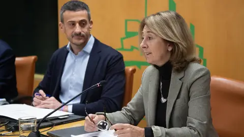 Carmen Adán, fiscal superior del País Vasco Carmen Adán, fiscal superior del País Vasco