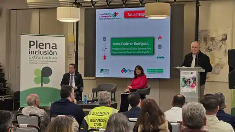 Plena inclusión Extremadura celebra una Jornada de PRL y Emergencias con el foco en la prevención y el bienestar integral Plena inclusión Extremadura celebra una Jornada de PRL y Emergencias con el foco en la prevención y el bienestar integral