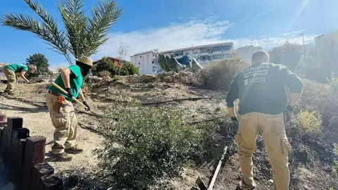 Finestrat consigue subvención autonómica para un nuevo taller de empleo para formar a 20 personas en Administración y Jardinería Finestrat consigue subvención autonómica para un nuevo taller de empleo para formar a 20 personas en Administración y Jardinería