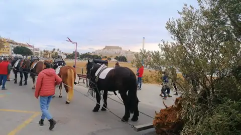 Imagen de la 'Baixada de l´arbre' en Peñíscola. Imagen de la 'Baixada de l´arbre' en Peñíscola.