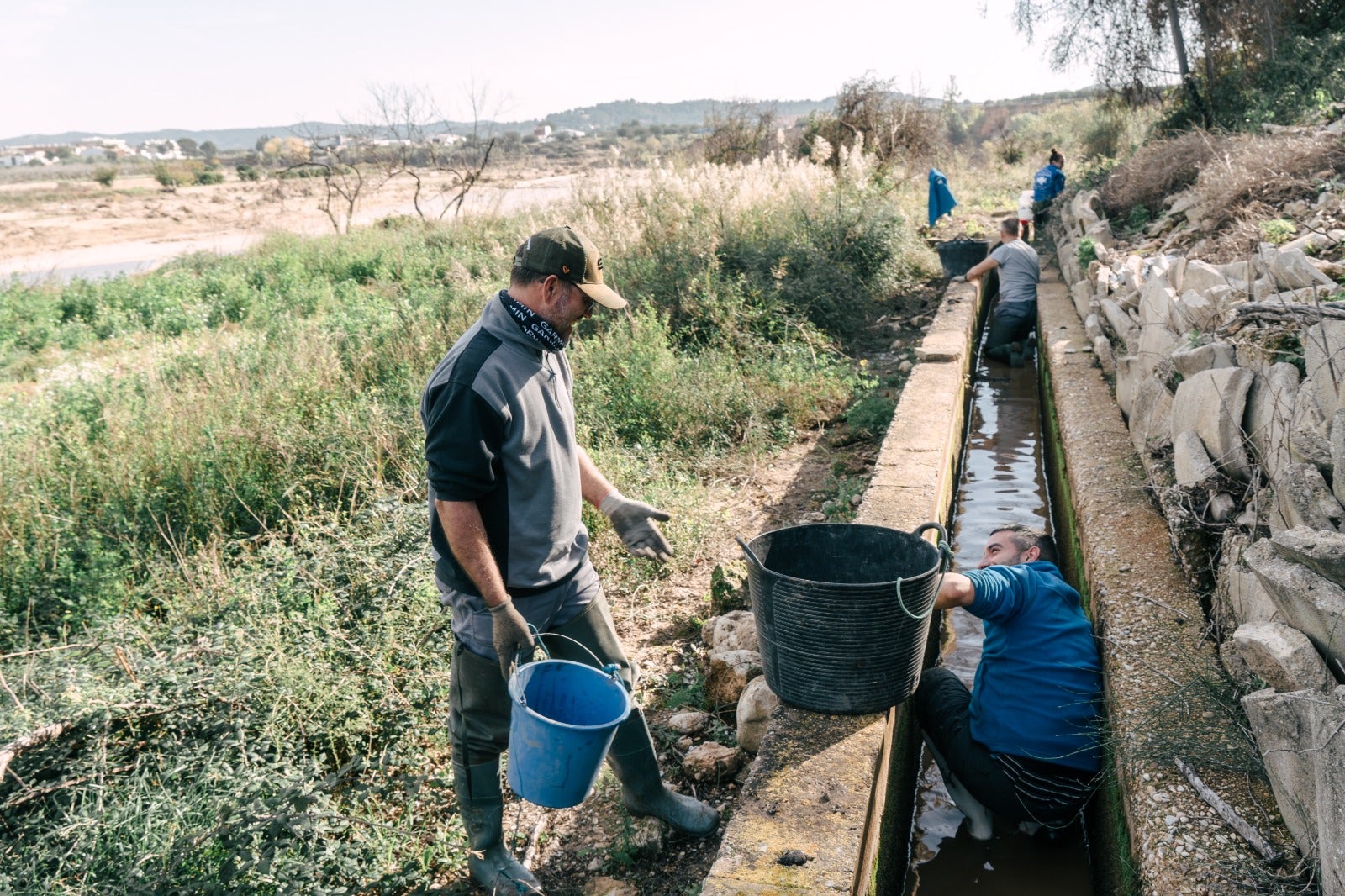 Técnicos de El Palmar y del Oceanogràfic salvan 1.300 almejas de agua dulce en peligro de extinción tras la DANA Técnicos de El Palmar y del Oceanogràfic salvan 1.300 almejas de agua dulce en peligro de extinción tras la DANA