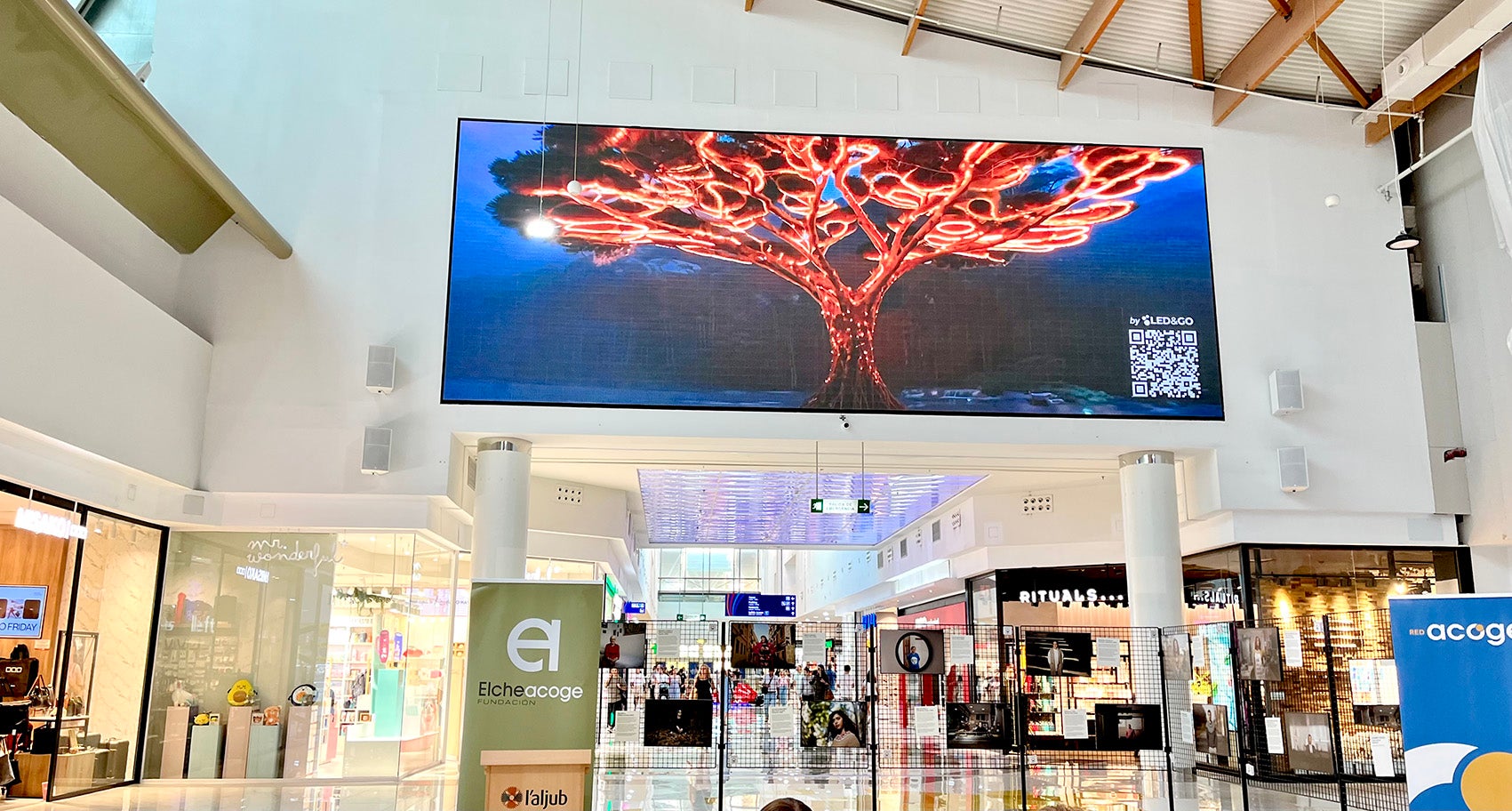 El centro comercial L'Aljub colabora en el certamen 'Reflejos digitales' El centro comercial L'Aljub colabora en el certamen 'Reflejos digitales'