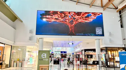 CC L´ALJUB COLABORA EN `REFLEJOS DIGITALES´ CC L´ALJUB COLABORA EN `REFLEJOS DIGITALES´