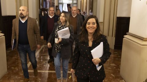 Inés Rey, antes de entrar al pleno del 9 de enero de 2025