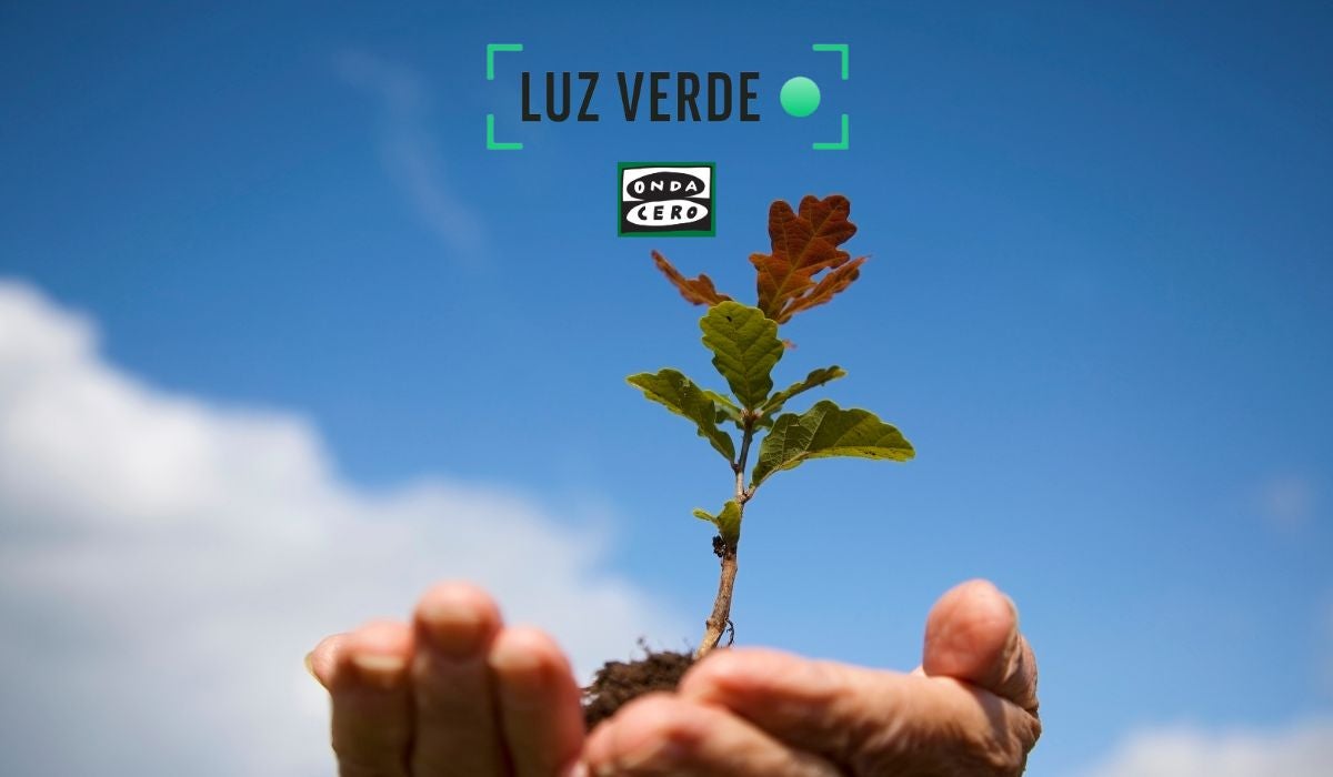 Apadrina un árbol Apadrina un árbol