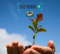 Apadrina un árbol Apadrina un árbol