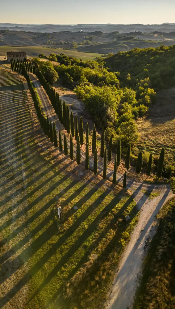 La Toscana La Toscana