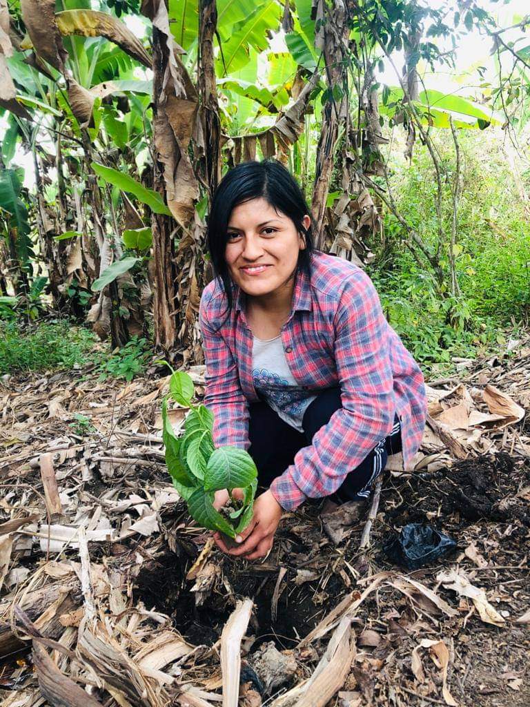 La Guardiana de las abejas nativas: Sin abejas no hay comida. La Guardiana de las abejas nativas: Sin abejas no hay comida.