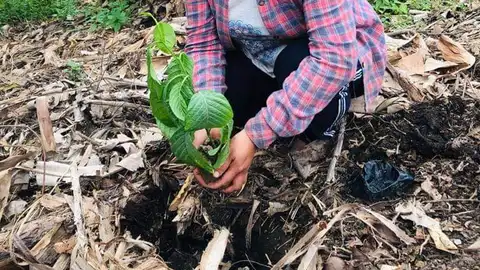 Ysabel Calderón Ysabel Calderón