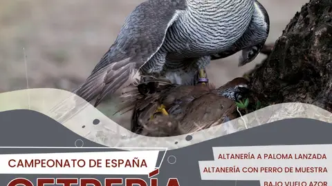 Cetreros de todo el país participarán del 17 al 19 de enero en el campeonato de España que se celebrará en Llerena Cetreros de todo el país participarán del 17 al 19 de enero en el campeonato de España que se celebrará en Llerena