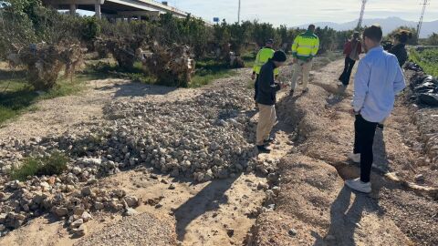 Visita de t&eacute;cnicos a los campos de Sueca tras la Dana