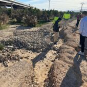 Visita de técnicos a los campos de Sueca tras la Dana