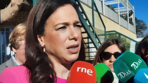 Extremadura presenta un "pico" en infecciones respiratorias que podría continuar en ascenso en próximas semanas Extremadura presenta un "pico" en infecciones respiratorias que podría continuar en ascenso en próximas semanas