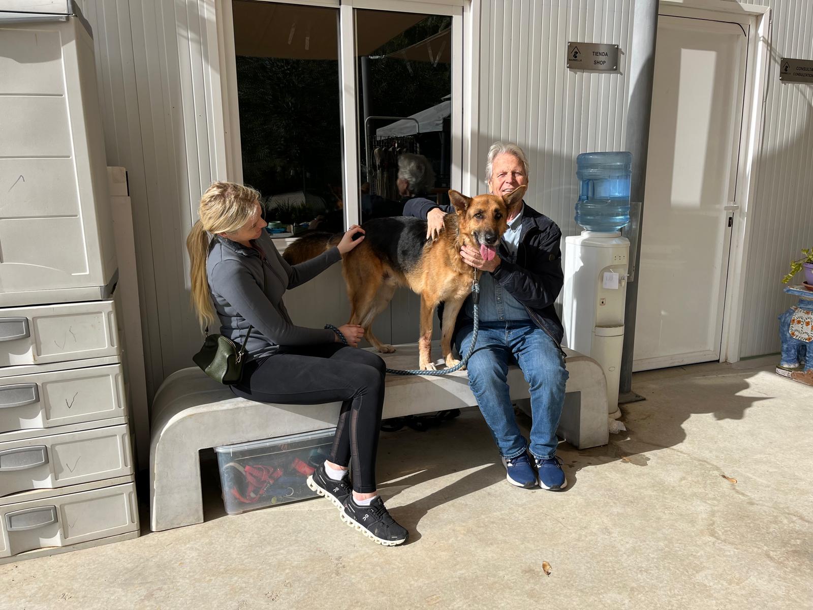 La Triple A formalizó en 2024 más de 400 adopciones, la mayoría para otros países europeos La Triple A formalizó en 2024 más de 400 adopciones, la mayoría para otros países europeos