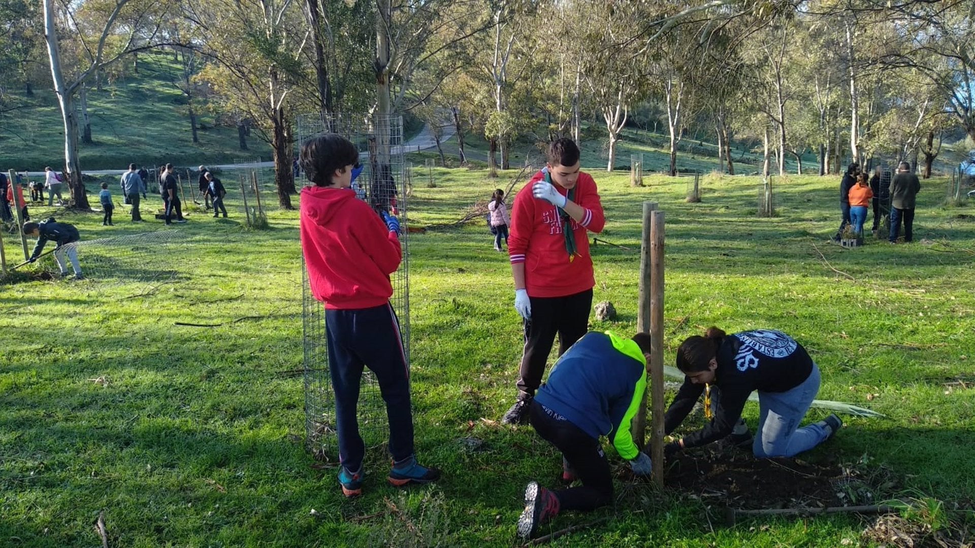 El proyecto 'Plantabosques' de Adenex se celebrará en seis fines de semana y cinco jornadas escolares durante 2025 El proyecto 'Plantabosques' de Adenex se celebrará en seis fines de semana y cinco jornadas escolares durante 2025