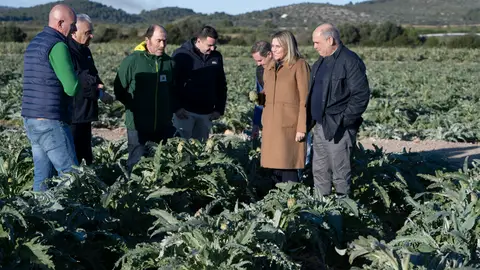 Alcachofa de Benicarló Alcachofa de Benicarló