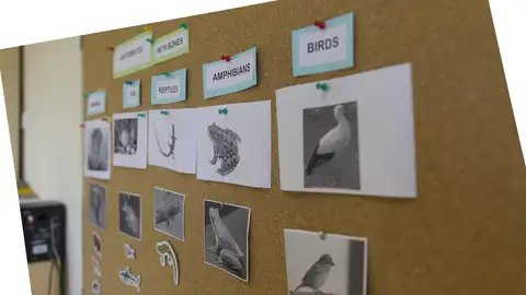 Galicia y Madrid, comunidades con mejor nivel de Inglés en España y Extremadura y La Rioja, las que peor Galicia y Madrid, comunidades con mejor nivel de Inglés en España y Extremadura y La Rioja, las que peor