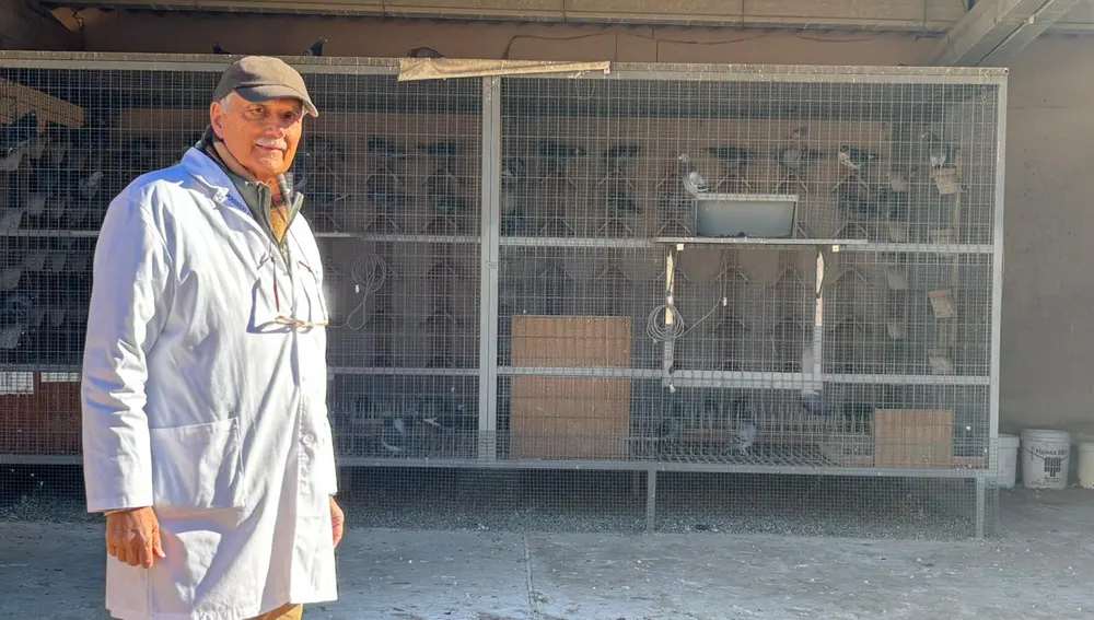 Fernando Martínez, presidente del club colombófilo 'Fondo Madrid' Fernando Martínez, presidente del club colombófilo 'Fondo Madrid'