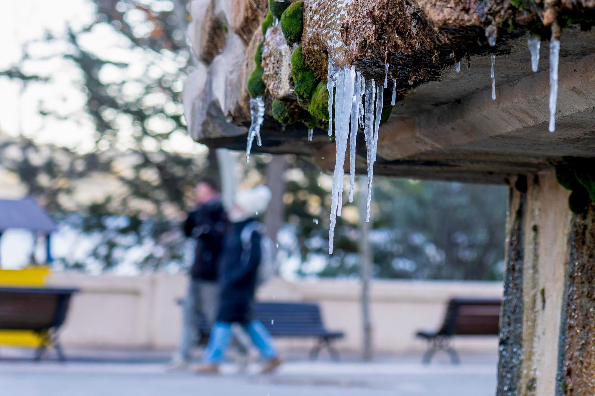 Hasta 31 provincias en aviso por temperaturas bajo cero y heladas: Cuándo acaba el frío extremo en España Hasta 31 provincias en aviso por temperaturas bajo cero y heladas: Cuándo acaba el frío extremo en España