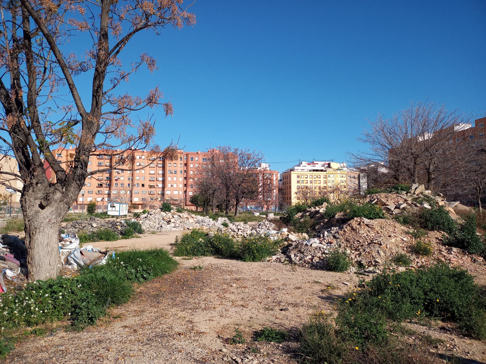 Bernabé destaca que “la vivienda no es un negocio para el Gobierno de España que seguirá apostando por la intervención pública” Bernabé destaca que “la vivienda no es un negocio para el Gobierno de España que seguirá apostando por la intervención pública”