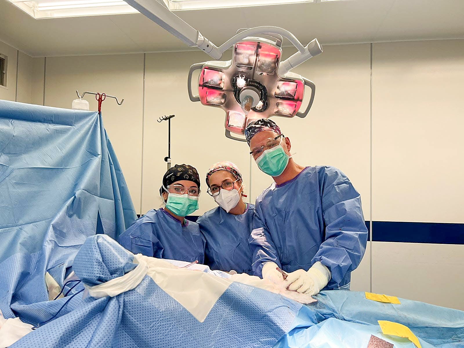 El Hospital Vithas Xanit Estepona se especializa en la implantación de prótesis de cadera y rodilla con métodos mínimamente invasivos El Hospital Vithas Xanit Estepona se especializa en la implantación de prótesis de cadera y rodilla con métodos mínimamente invasivos