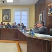 Pleno de Villajoyosa, enero 2025