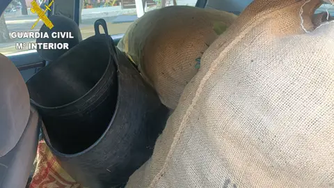 Investigan a dos mujeres que llevaban 100 kilos de algarroba de procedencia ilícita en Vall d’Uixò Investigan a dos mujeres que llevaban 100 kilos de algarroba de procedencia ilícita en Vall d’Uixò