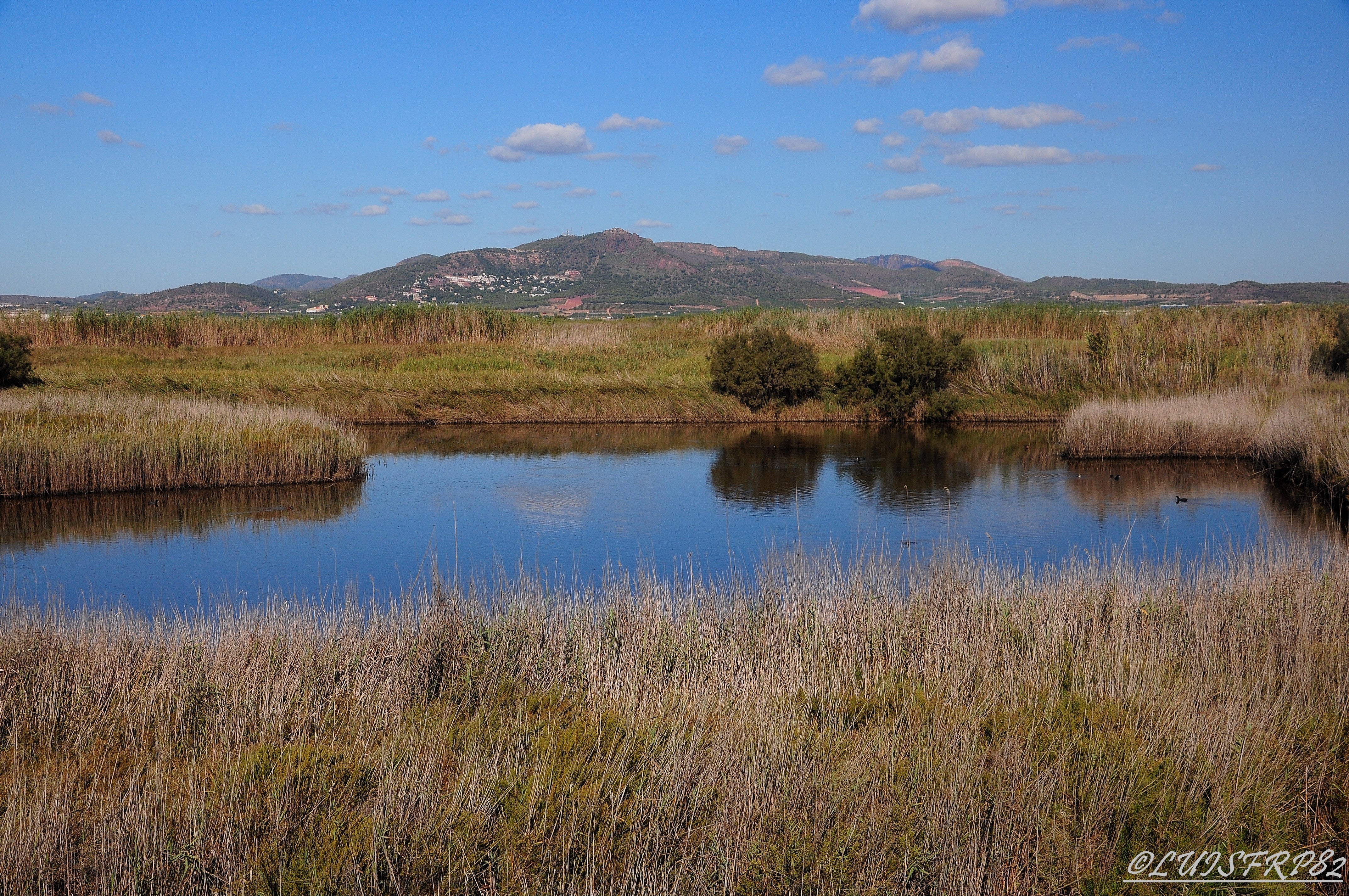 Emergencia climática, preservación y residuos: Los retos de El Camp de Morvedre en 2025 Emergencia climática, preservación y residuos: Los retos de El Camp de Morvedre en 2025