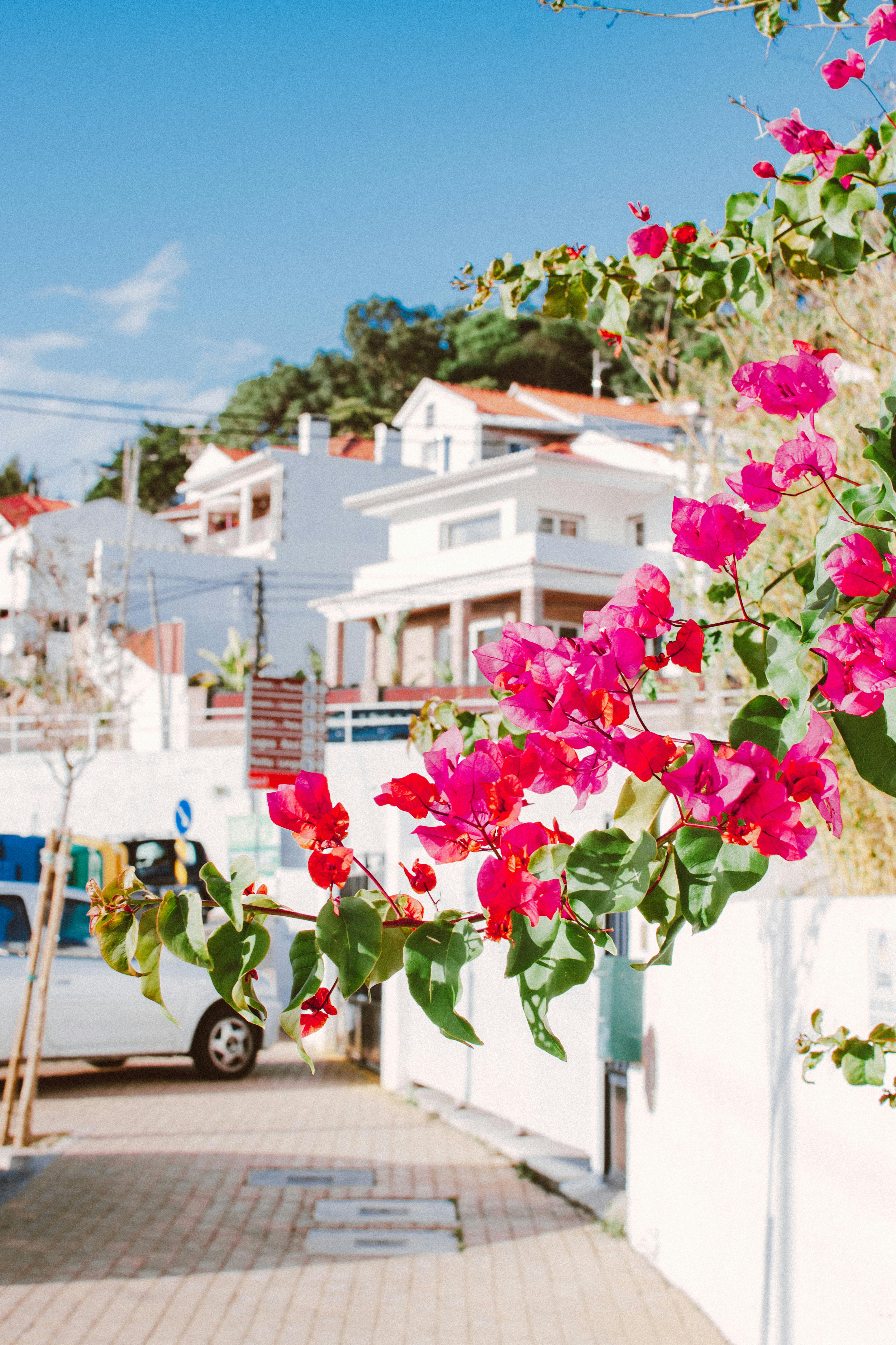 Escapada al centro de Portugal: un destino cercano y sorprendente Escapada al centro de Portugal: un destino cercano y sorprendente