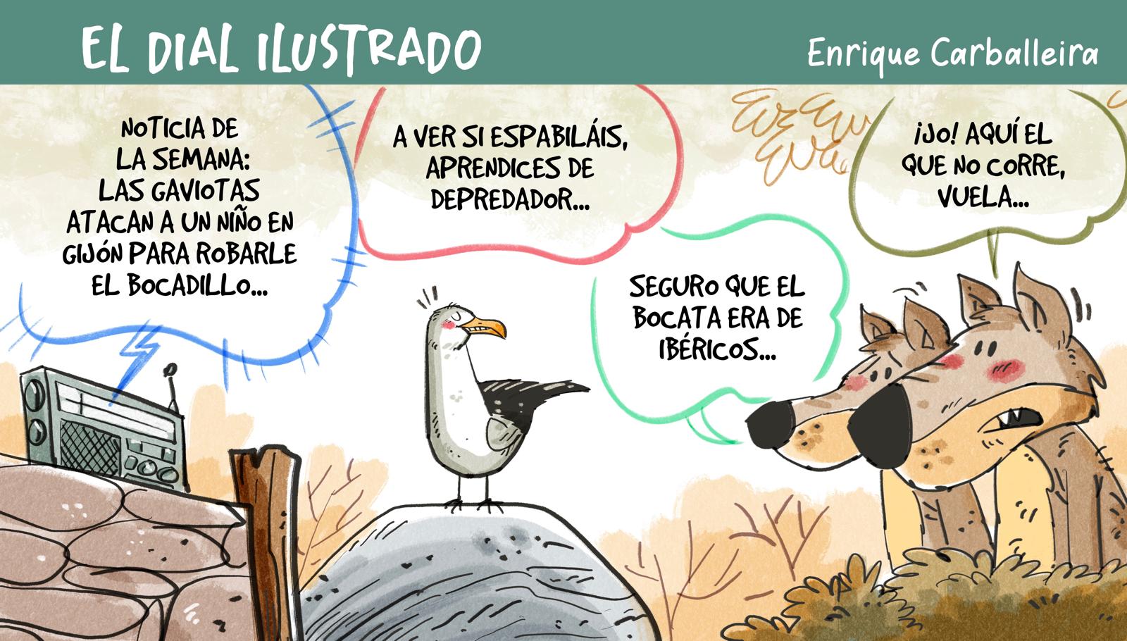 El Dial Ilustrado 17/01/2025 El Dial Ilustrado 17/01/2025