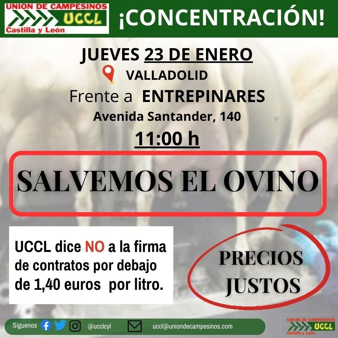 UCCL denuncia que la imposición de precios por la industria les obliga a vender por debajo de los costes UCCL denuncia que la imposición de precios por la industria les obliga a vender por debajo de los costes