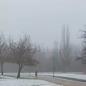 El alcalde Diez descarta incidencias notables tras la nevada en León capital El alcalde Diez descarta incidencias notables tras la nevada en León capital