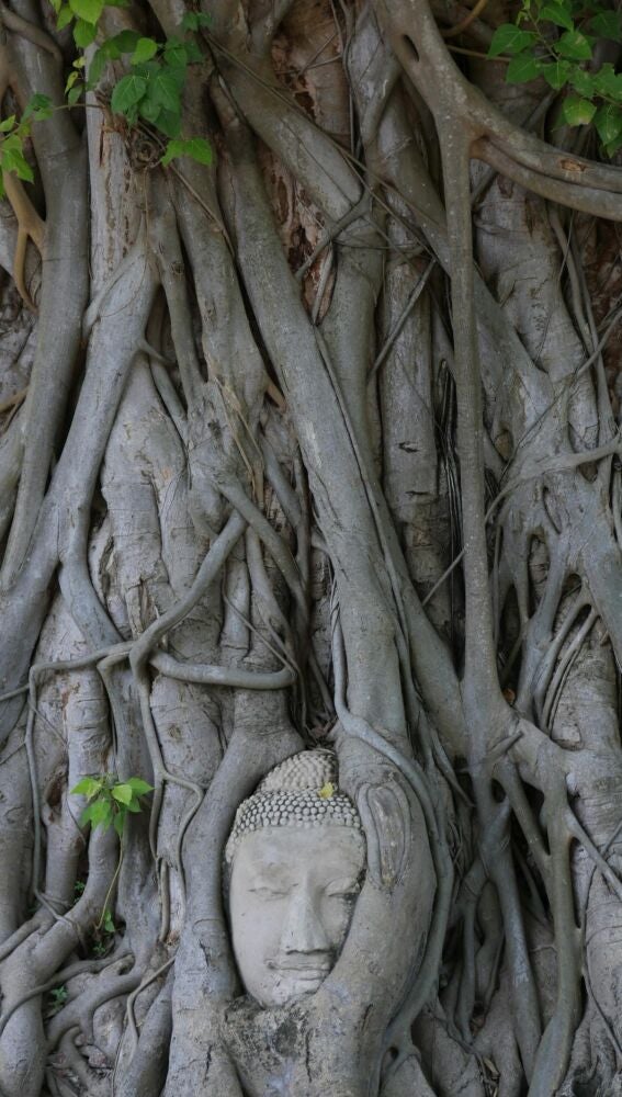 Reino de Siam