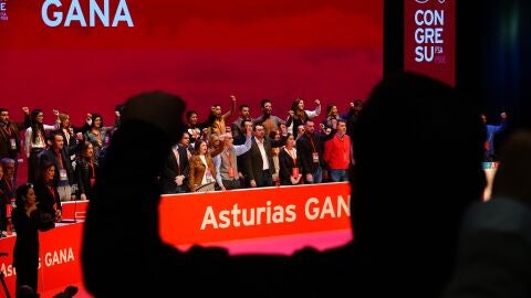 Congreso de la Federaci&oacute;n Socialista Asturiana