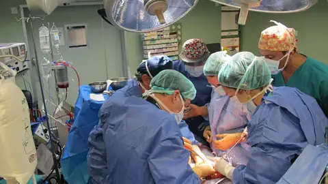 Trasplante en Canarias Trasplante en Canarias