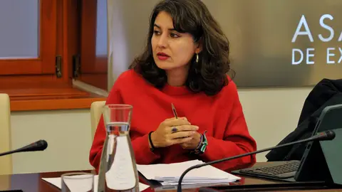 Unidas por Extremadura presenta una enmienda a la totalidad a la Ley de Concordia de la extrema derecha Unidas por Extremadura presenta una enmienda a la totalidad a la Ley de Concordia de la extrema derecha
