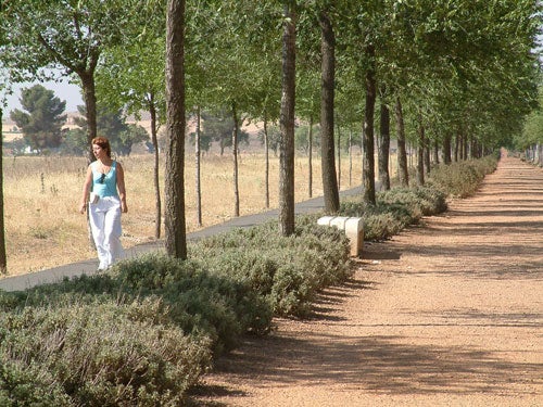 Ciudad Real invierte más de 600.000 euros para obras de mejora en polideportivos y vía verde Ciudad Real invierte más de 600.000 euros para obras de mejora en polideportivos y vía verde