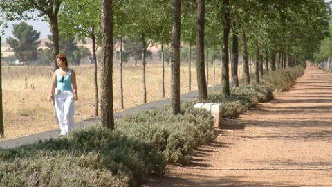 La mejora de la Vía Verde Ciudad Real es uno de las obras adjudicadas La mejora de la Vía Verde Ciudad Real es uno de las obras adjudicadas